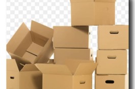 تیم متخصص و مجرب