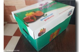 تولید انواع کارتن