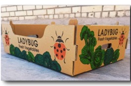 تضمین کیفیت خدمات