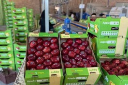  از تولید تا تحویل سریع کارتن‌های سفارشی