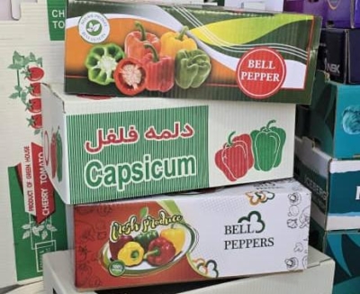 ظاهر حرفه‌ای برای برندها